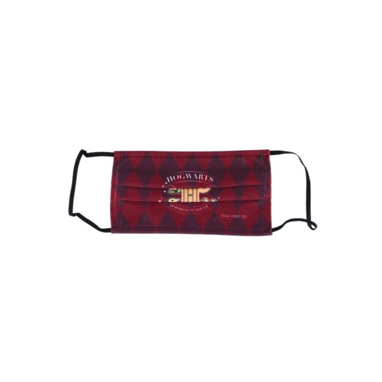 Product Harry Potter Gryffindor Teen Mask image