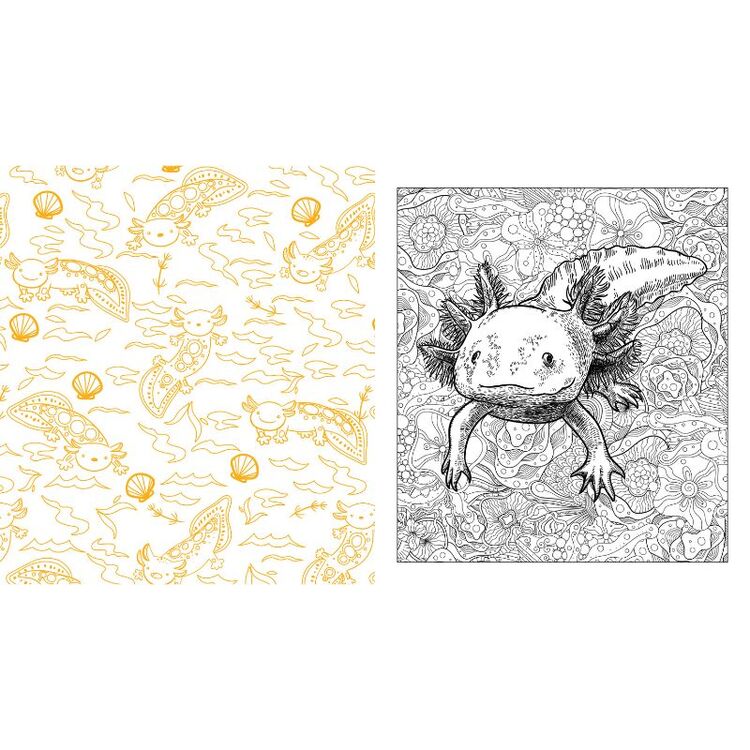 Product Axolotl Coloring Book image