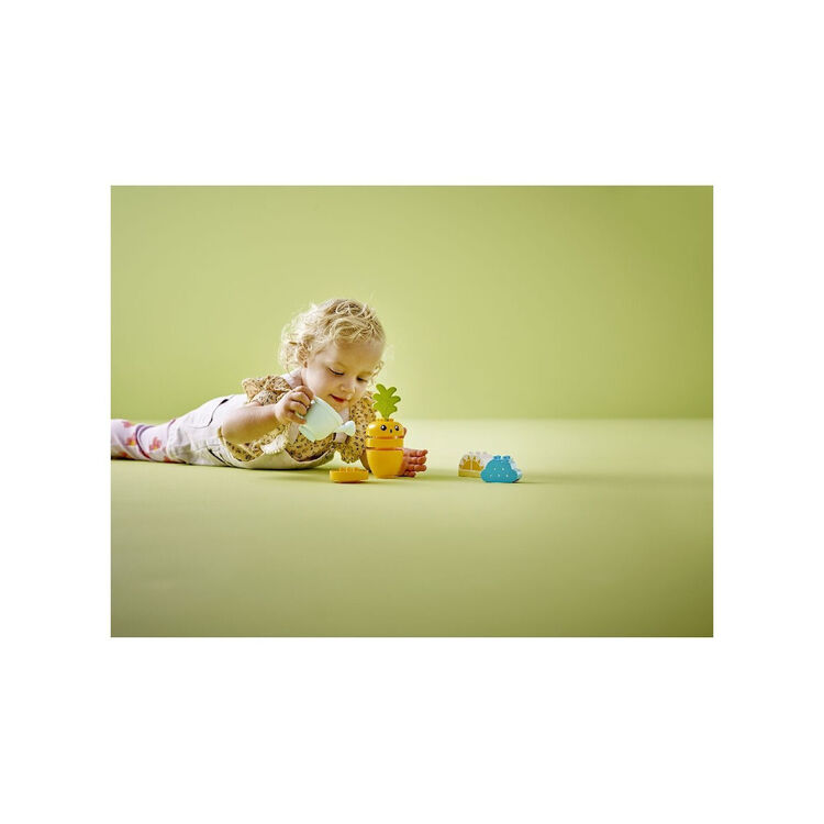 Product LEGO® DUPLO®: My First Καρότο που Μεγαλώνει (10981) image