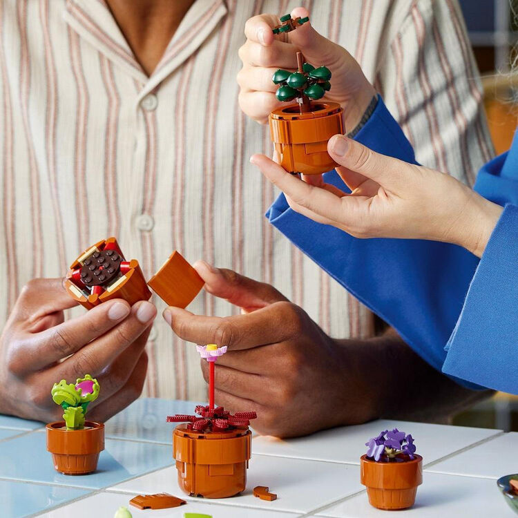 Product LEGO® Icons: Botanical Collection - Tiny Plants (10329) image