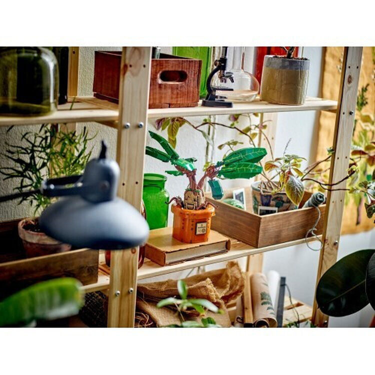 Product LEGO® Harry Potter™: Μανδραγόρας (76433) image