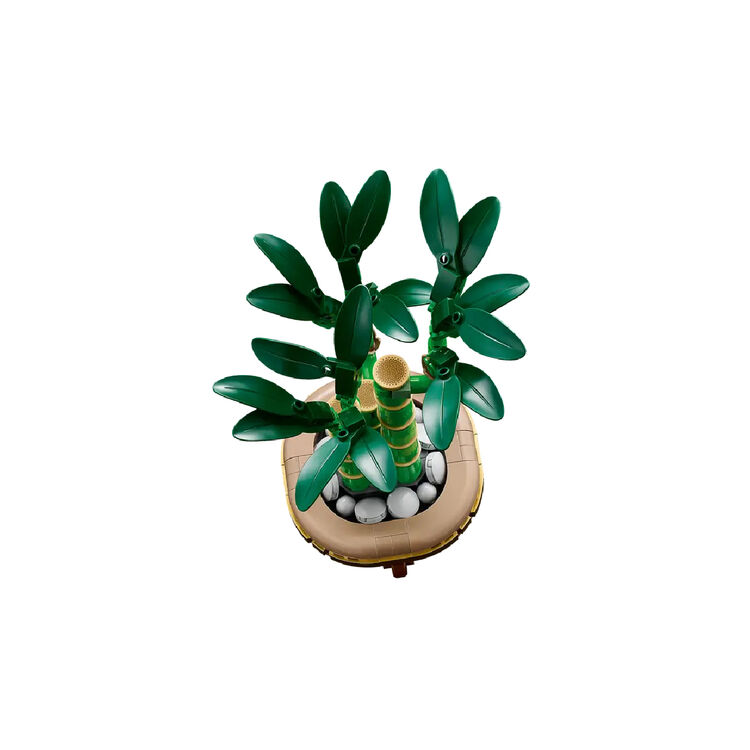 Product LEGO® Botanical Collection: Τυχερό Μπαμπού (10344) image