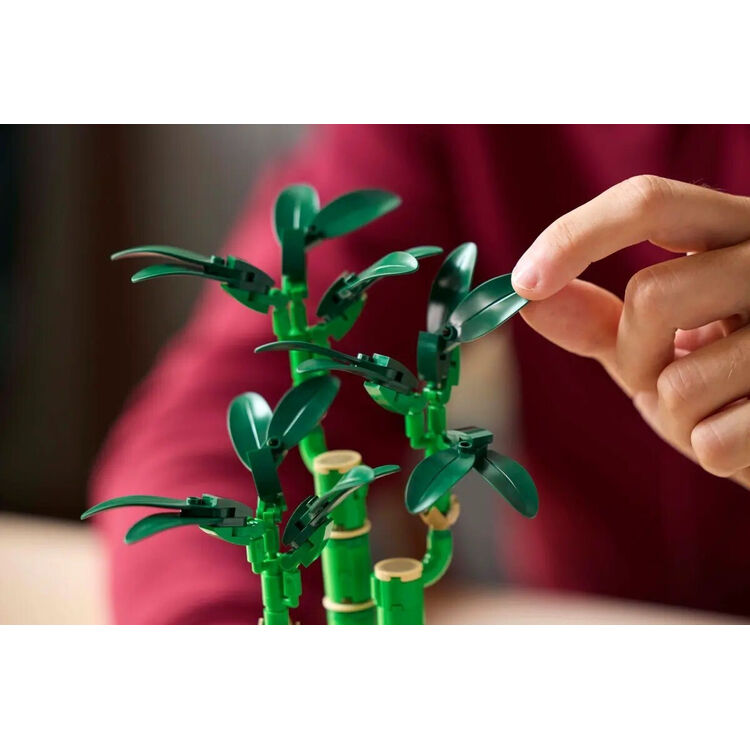 Product LEGO® Botanical Collection: Τυχερό Μπαμπού (10344) image