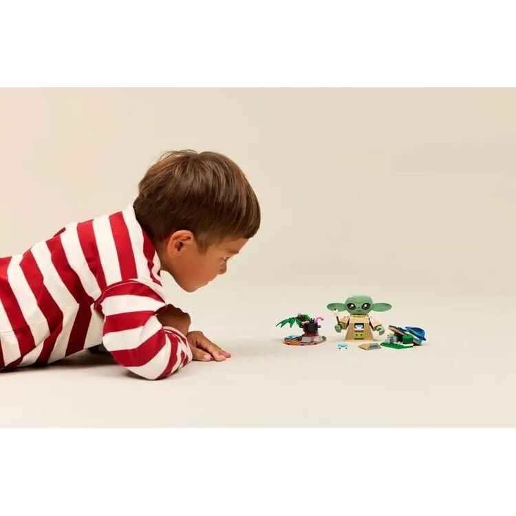 Product LEGO® Star Wars™: Grogu’s Homestead (75443) image