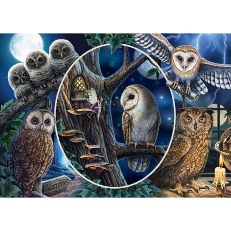 Product Παζλ 59667 Mysterious Owls 1000 Κομμάτια image