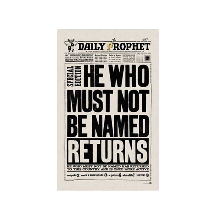 Product Harry Potter You Know Who Tea Towel image