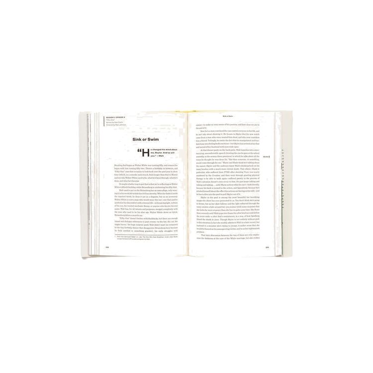 Product Breaking Bad 101: The Complete Critical Companion image