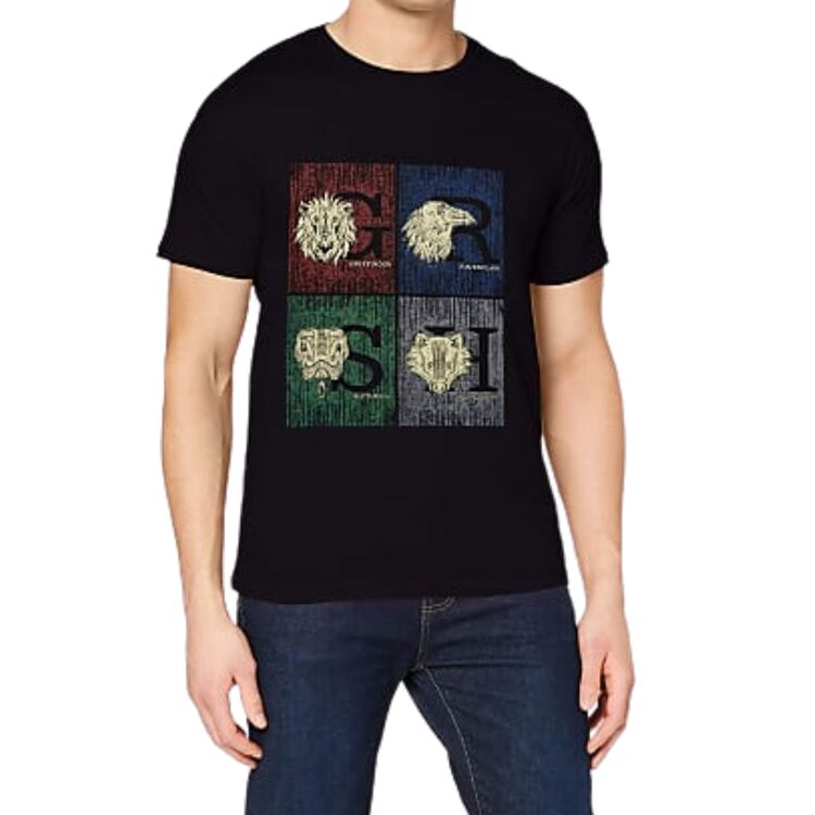 Product Harry Potter Hogwarts Houses T-shirt image