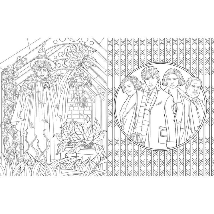 Product Βιβλίο Ζωγραφικής Harry Potter Hufflepuff House Pride The Official Colouring Book image