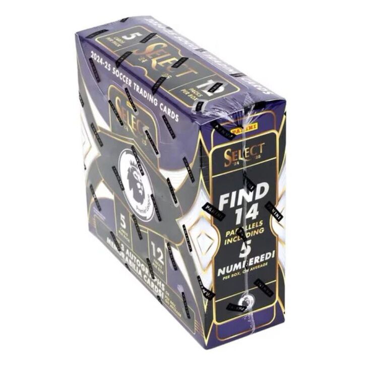 Product Panini 2024-2025 Select Prizm EPL Soccer Box image