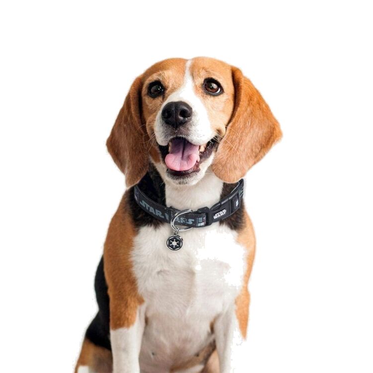 Product Star Wars Darth Vader Collar image