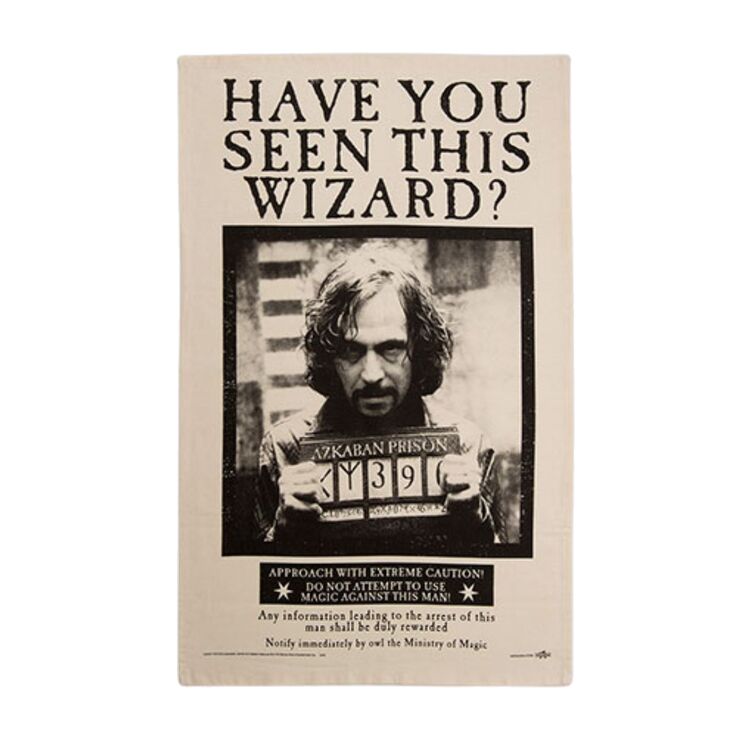 Product Harry Potter Have You Seen This Wizard? Poster Tea Towel image