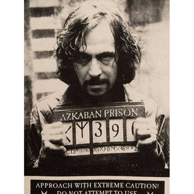 Product Harry Potter Have You Seen This Wizard? Poster Tea Towel image