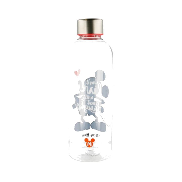 Product Disney Hydro Bottle image