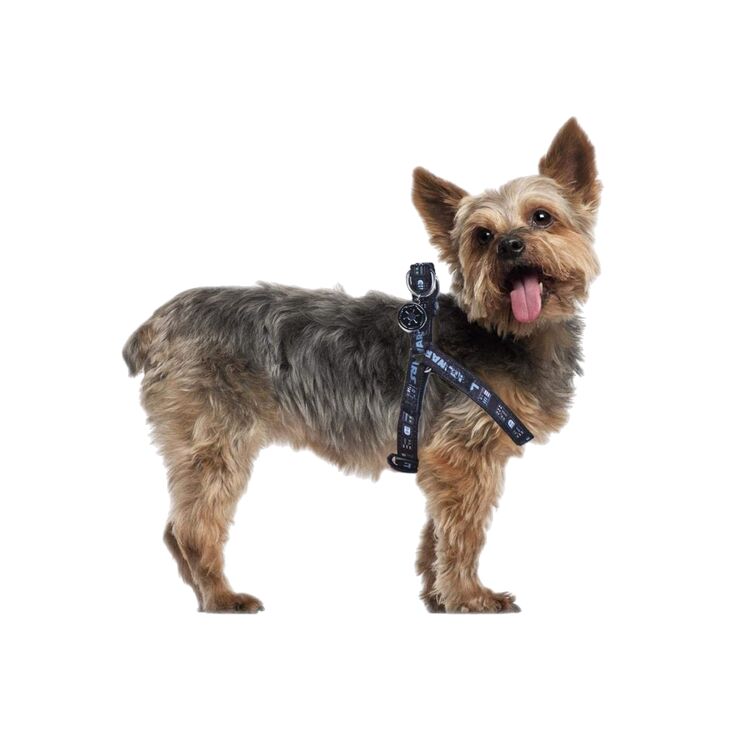 Product Star Wars Darth Vader Dog Harness (Slim) image