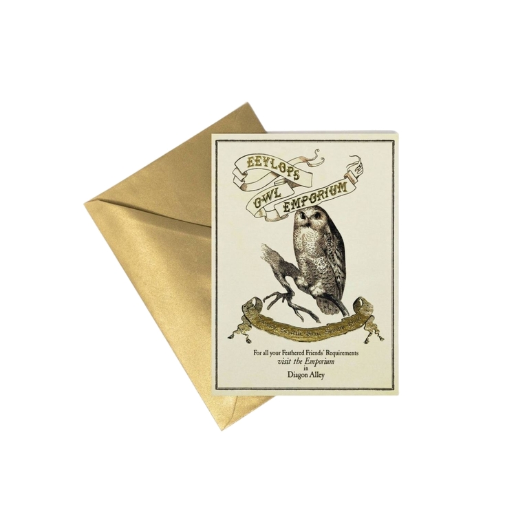 Product Harry Potter Eeylop's Owl Emporium Notecard image