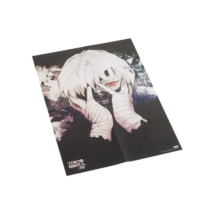 Product Tokyo Ghoul Box RE Box Set image