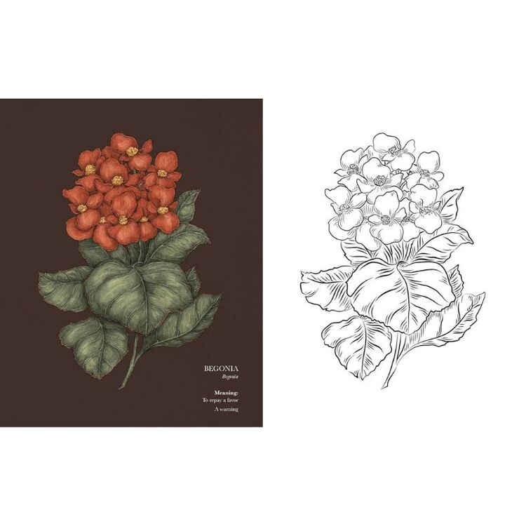 Product Βιβλίο Ζωγραφικής Floriography image