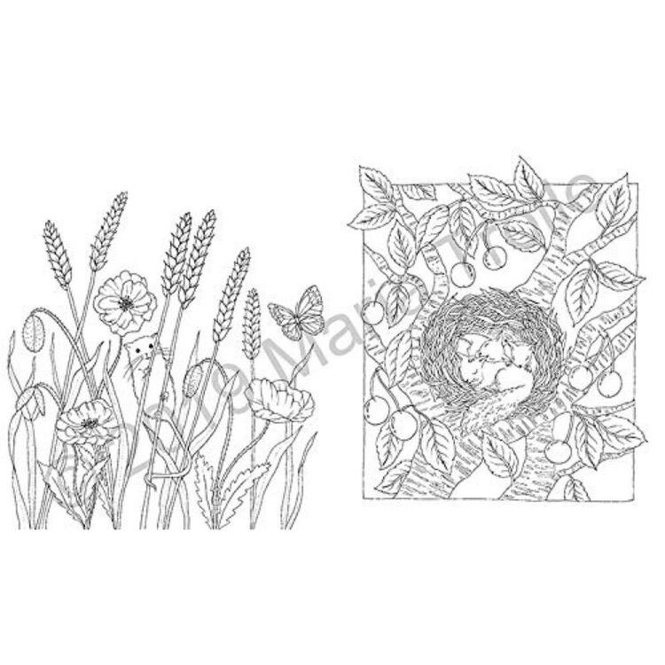 Product Βιβλίο Ζωγραφικής Flora image