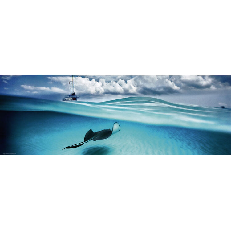 Product Puzzle 29470 Pan Vh Stingray 1000 Pieces image