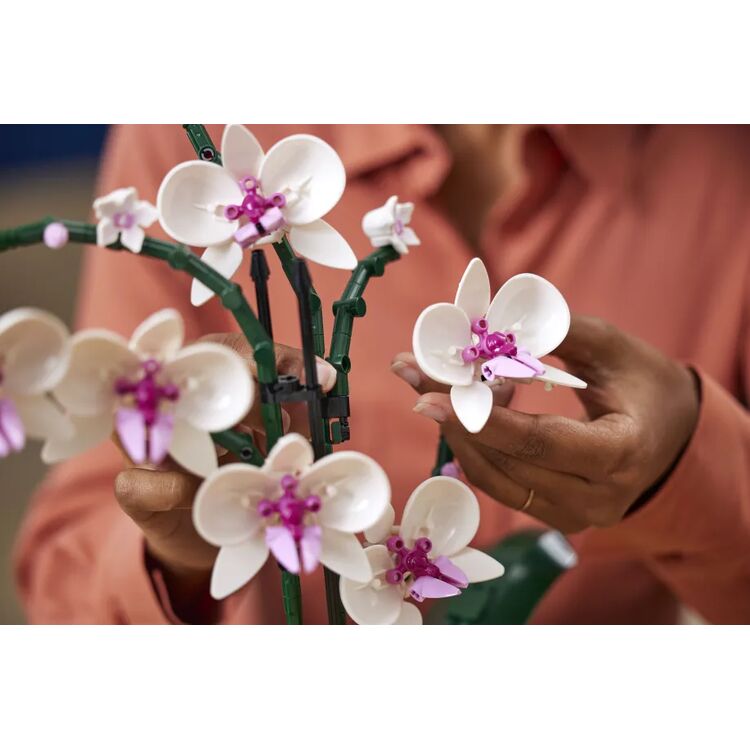 Product LEGO® Botanical Collection: Ορχιδέα (10311) image