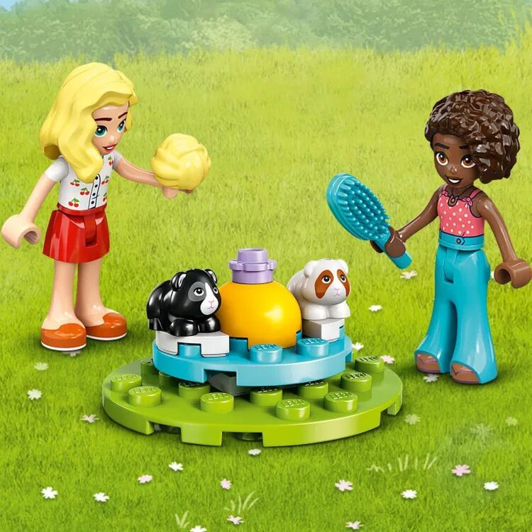 Product LEGO® Friends: Παιδική Χαρά για Ινδικά Χοιρίδια (42640) Μαζί με Πασχαλινή Λαμπάδα image