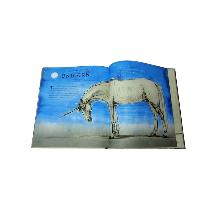 Product Fantastic Beasts and Where to Find Them : Illustrated Edition image