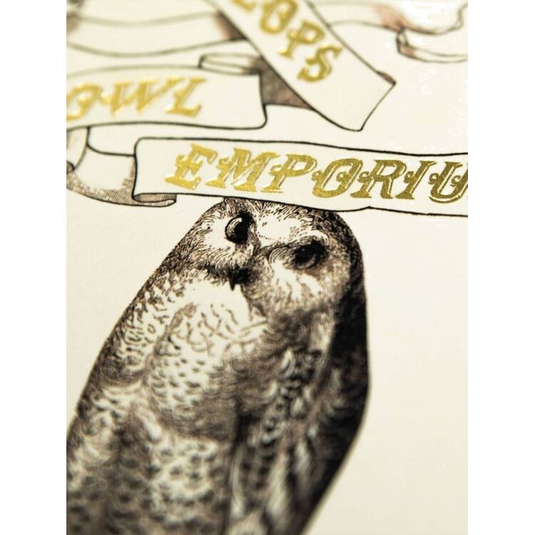Product Harry Potter Eeylop's Owl Emporium Notecard image