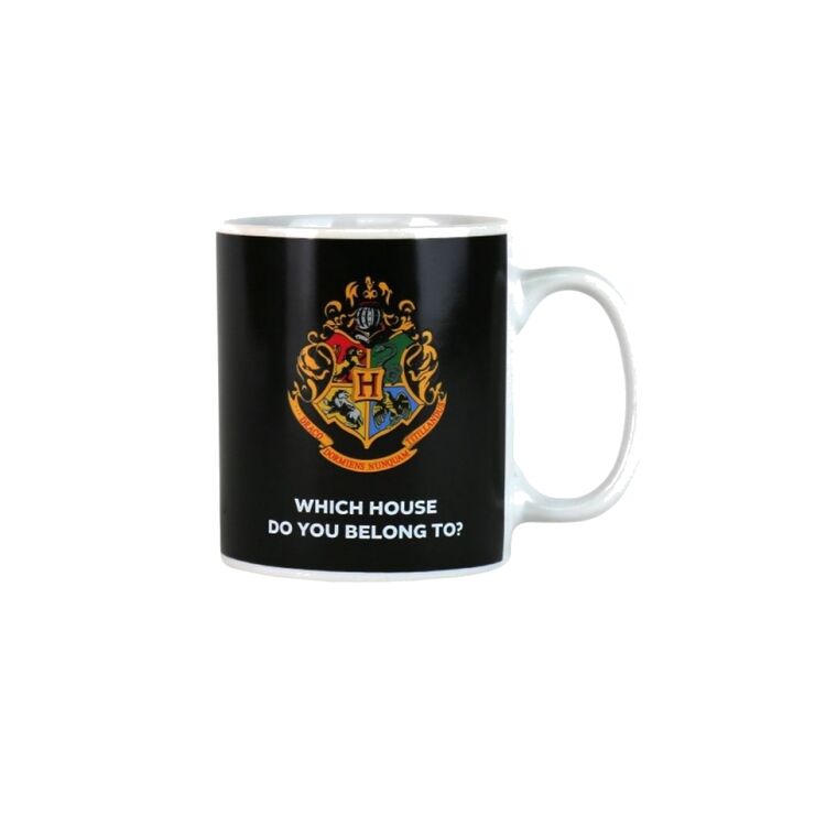 Product Harry Potter House Reveal Heat Change Mug image