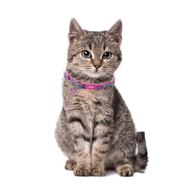 Product DC Comics Superman Collar image