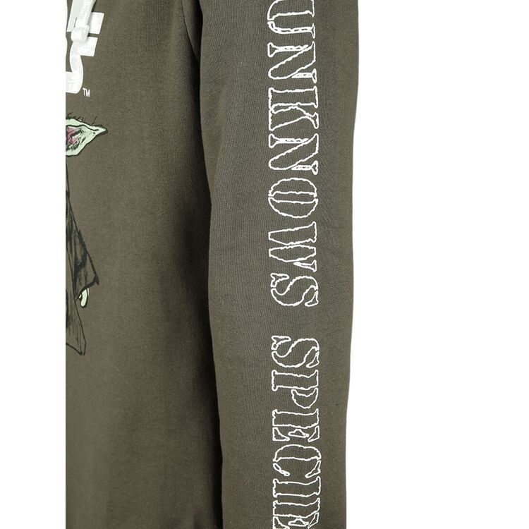 Product Star Wars Baby Yoda Hoodie image