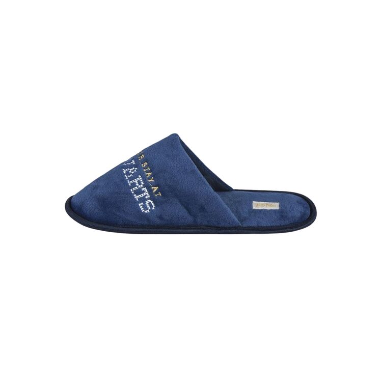 Product Harry Potter Hogwarts Slippers image