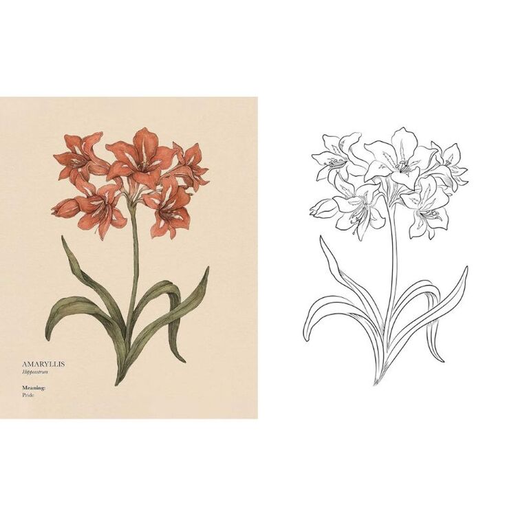 Product Βιβλίο Ζωγραφικής Floriography image