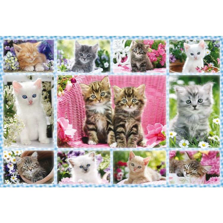 Product Παζλ 56135 Kittens 100 Κομμάτια image