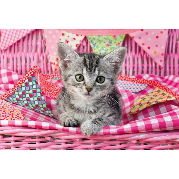 Product Puzzle 56361 My Cutest Baby Animals,3x48 Pieces image