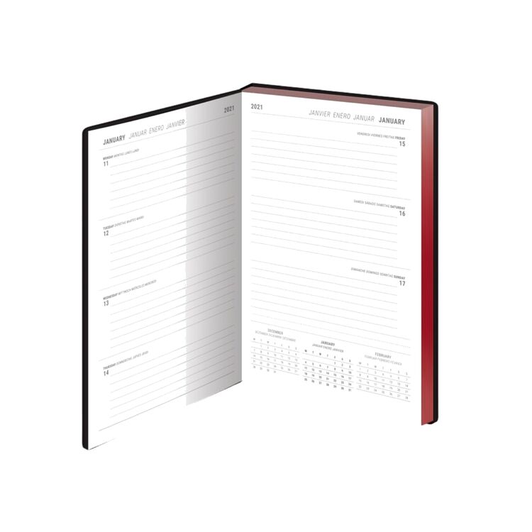 Product Stranger Things (The Upside Down) 2021 Diary image