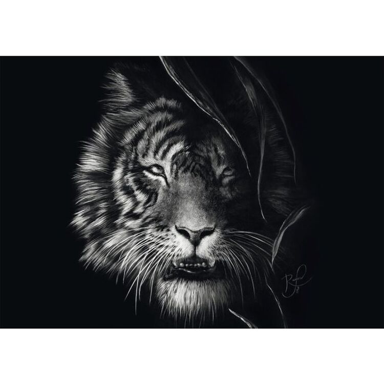 Product Παζλ 58541 Ashley Rader Wilderness-tiger, The Epitome Of Freedom 1000 Κομμάτια image
