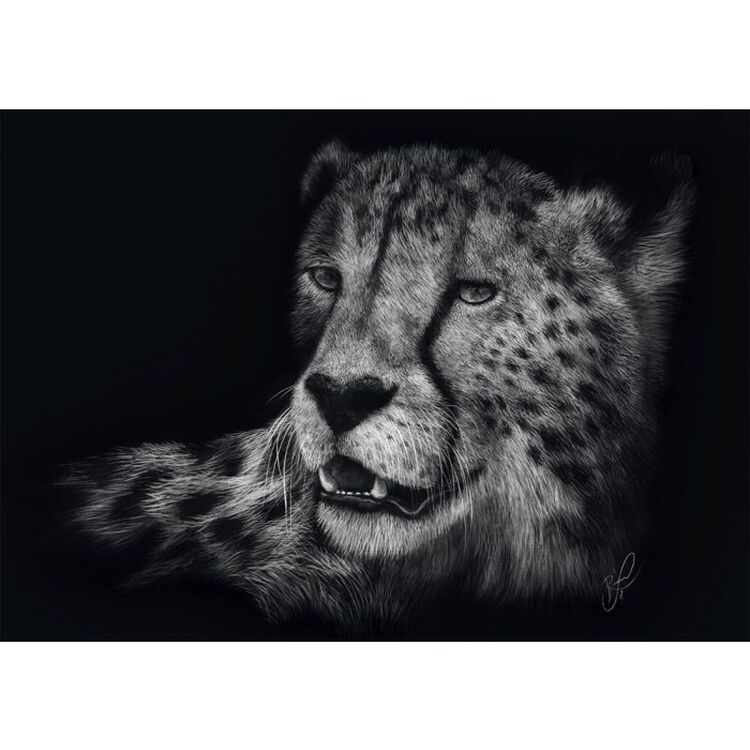 Product Παζλ 58542 Ashley Raderspeed-cheetah, The Epitome Of Grace 1000 Κομμάτια image