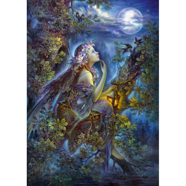 Product Puzzle 58959 Moonlight 1000 Pieces image