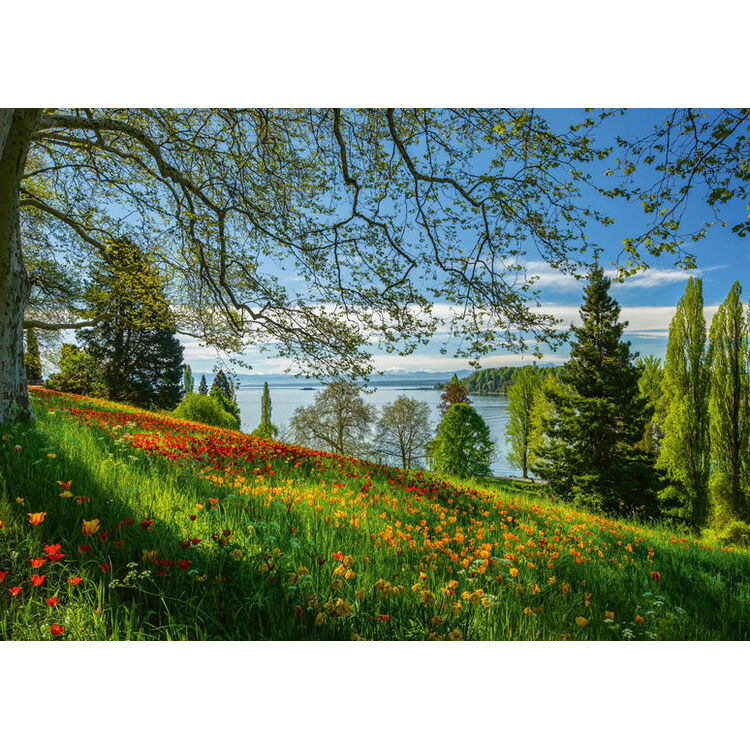 Product Puzzle 58967 Spring Avenue In Tulip Bloom, Mainau Island 1000 Pieces image
