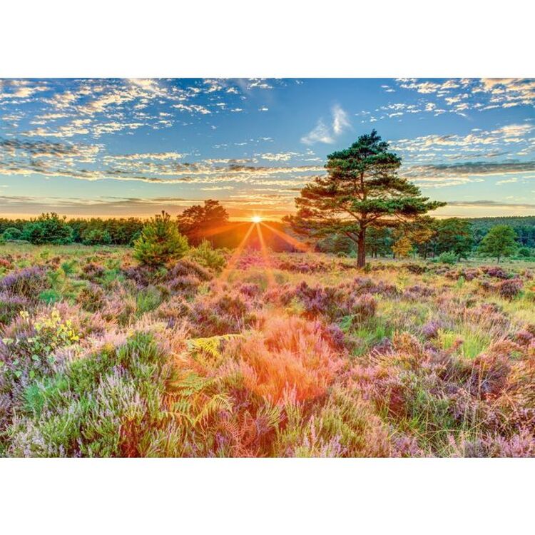 Product Puzzle 59768 Sunset On The Heath 1000 Pieces image