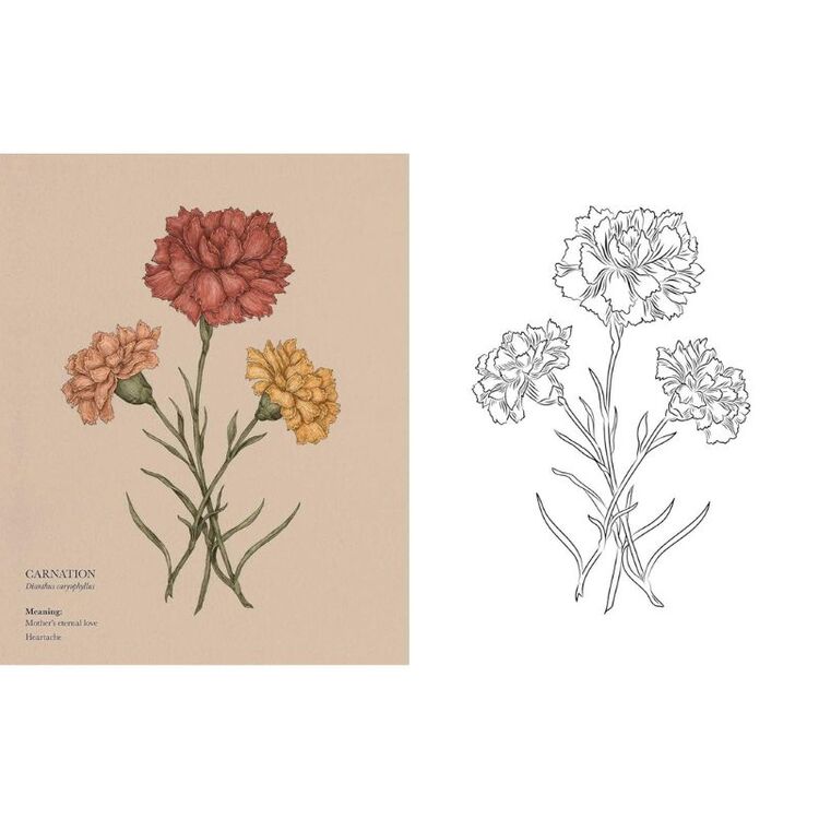 Product Βιβλίο Ζωγραφικής Floriography image