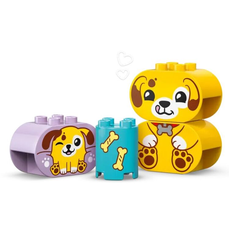 Product LEGO® Duplo My First: Ταξινόμηση Σχημάτων: Σπίτι για Κουταβάκια (10441) image