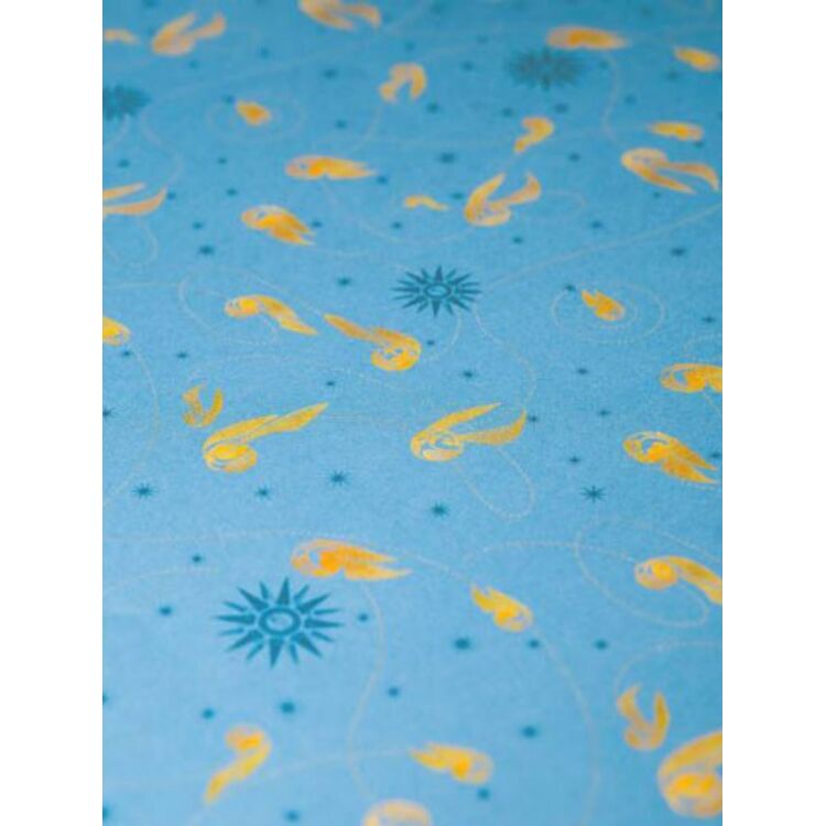 Product Περιτύλιγμα Δώρου Harry Potter Quidditch image