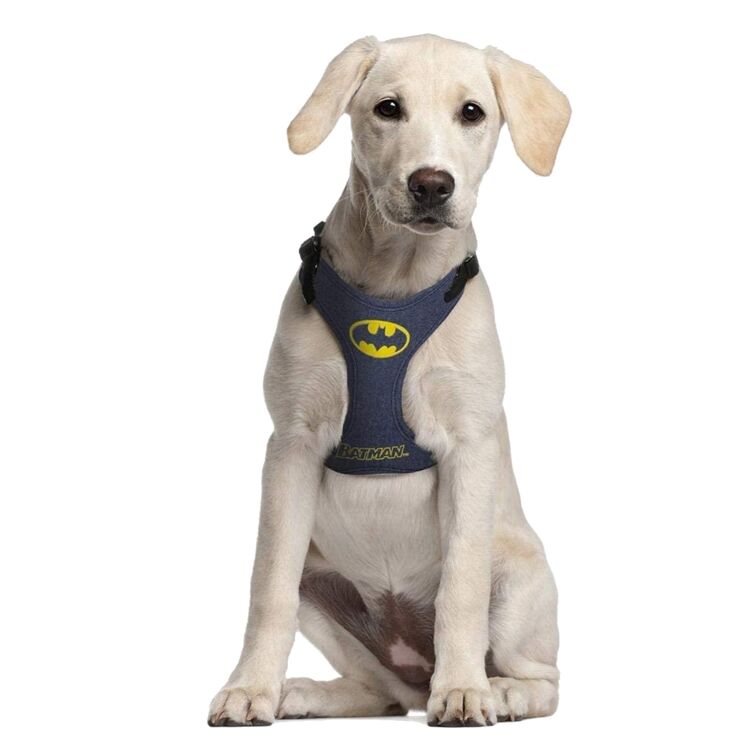 Product DC Batman Dog Harness image