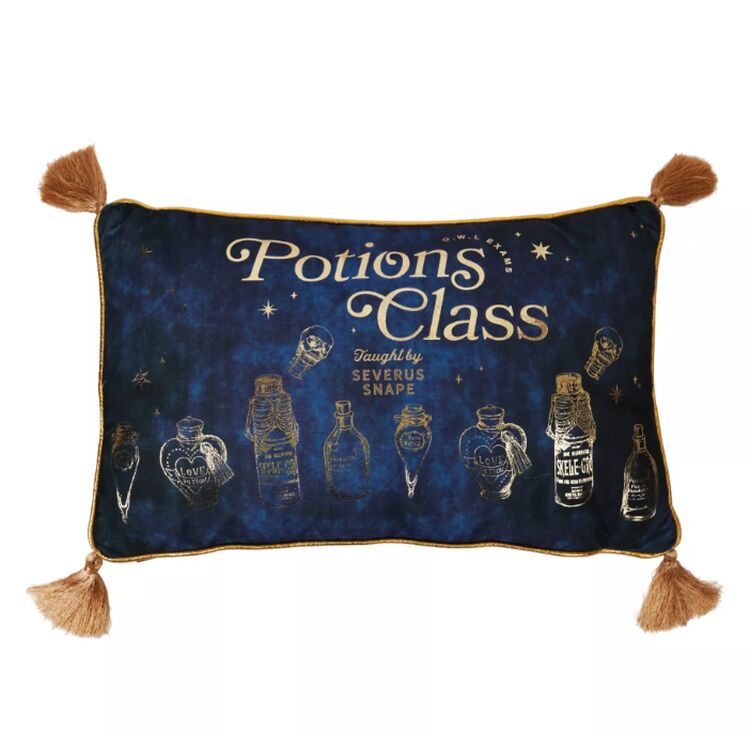 Product Harry Potter Alumni Velvet Cushion Potions Class image
