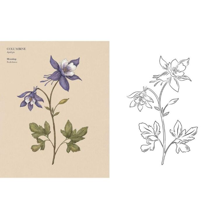 Product Βιβλίο Ζωγραφικής Floriography image