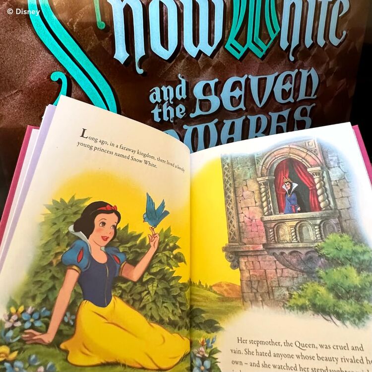 Product Disney Pocket Classics image