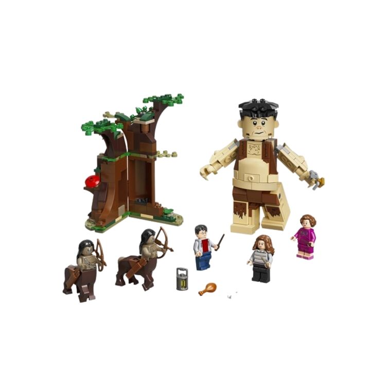 Product LEGO®Harry Potter™: Το Απαγορευμένο Δάσος: Η Συνάντηση του Γκράουπ και της Άμπριτζ (75967) image