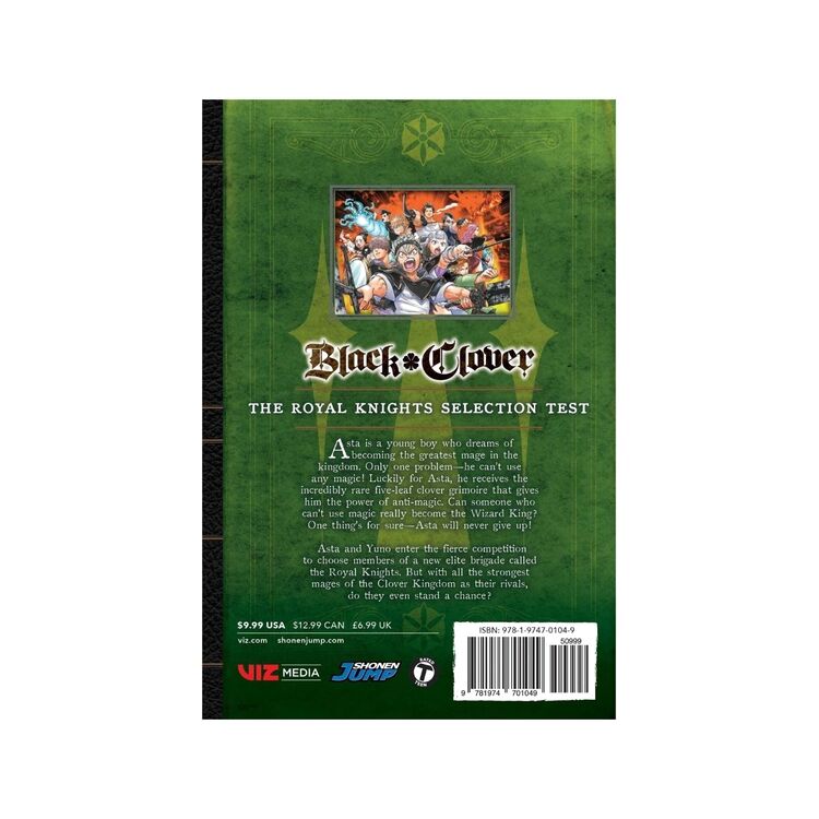 Product Black Clover Vol.13 image